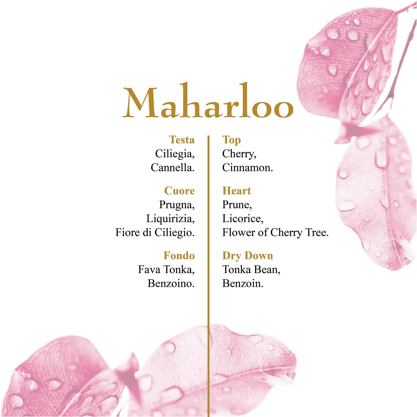 OLFATTOLOGY - Maharloo